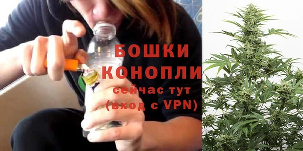 MESCALINE Горняк