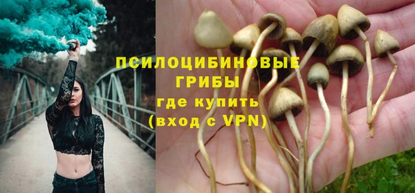 MESCALINE Горняк