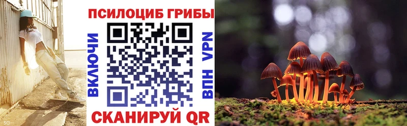 Псилоцибиновые грибы Cubensis  Купить где  Агидель 